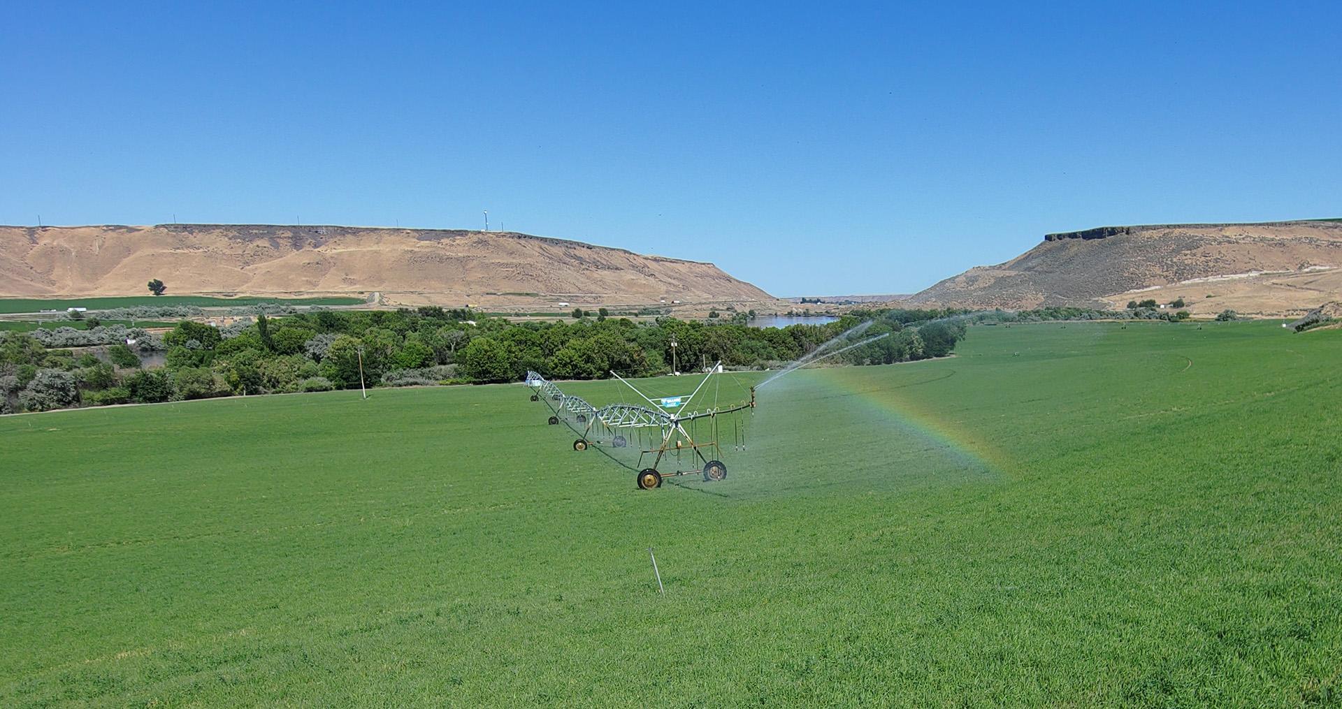 Energy-efficient drip irrigation in a farm field
